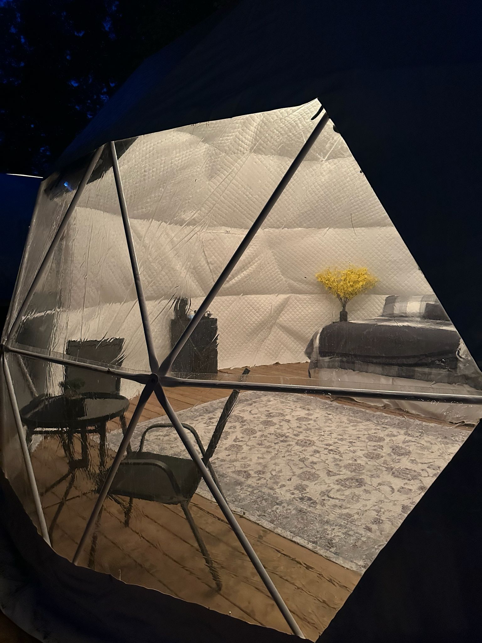 Waterfront Dome - 1