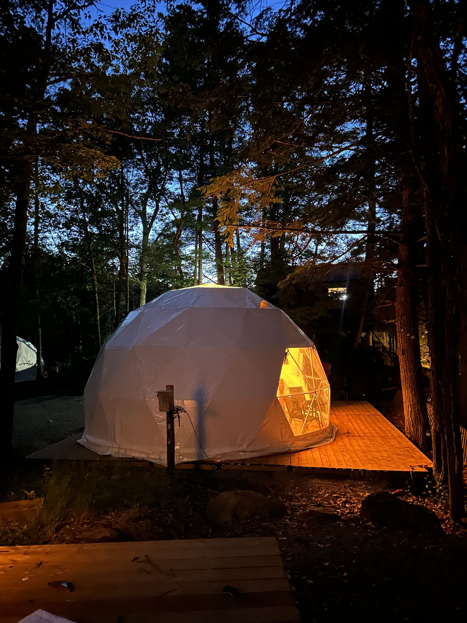 Waterfront Dome -3